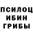 Псилоцибиновые грибы Magic Shrooms Vladimir Ashihmin