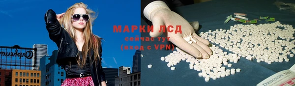 дживик Аркадак