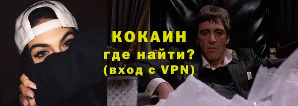 дживик Аркадак
