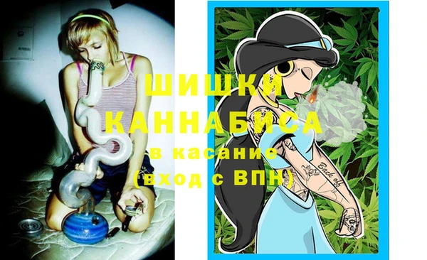 дживик Аркадак