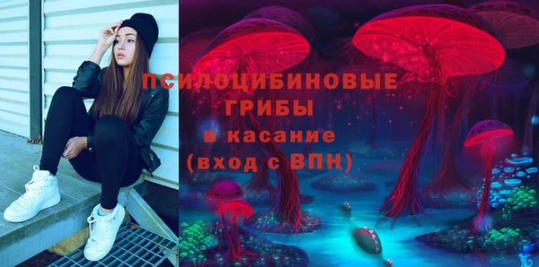меф Арсеньев