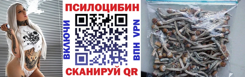 как найти закладки  Бикин  Псилоцибиновые грибы Psilocybe 